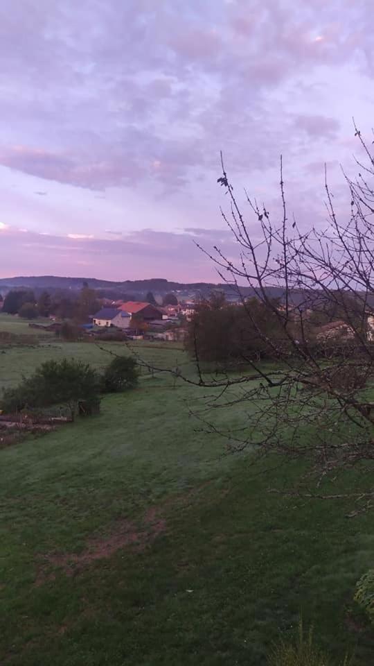 Gite Le Charme D'Argent Charmois-devant-Bruyeres 外观 照片